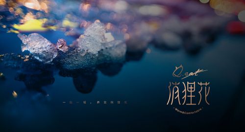 俏狸花暖宫贴包装设计-九韵一雅堂签约