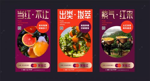 品牌策划带你了解血橙和其他橙类有什么区别？